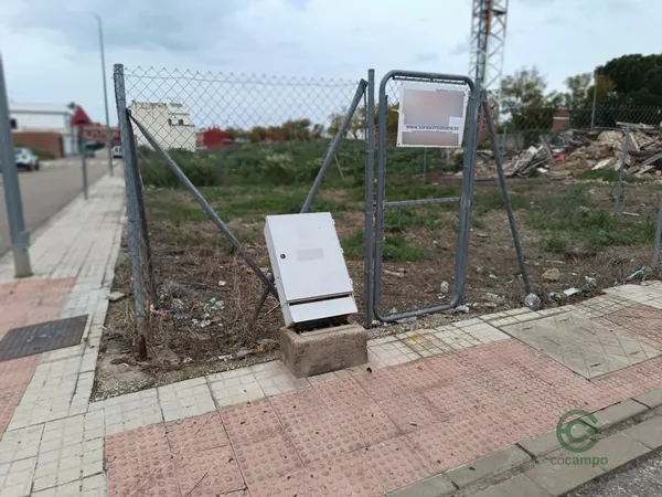 Spot image