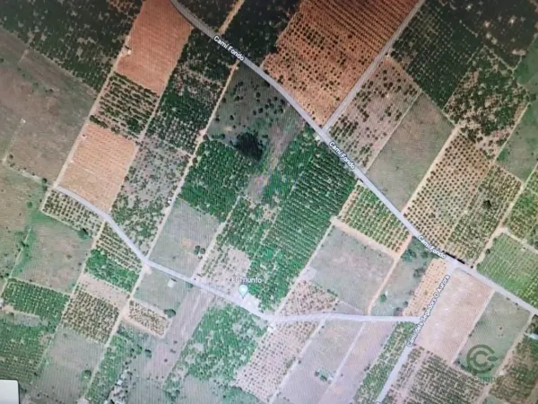 Spot image
