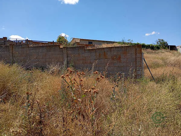 Finca rústica de 0,1013 ha en venta en Castronuño, Valladolid