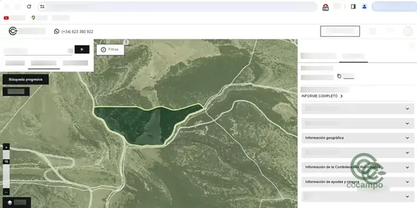 Spot image