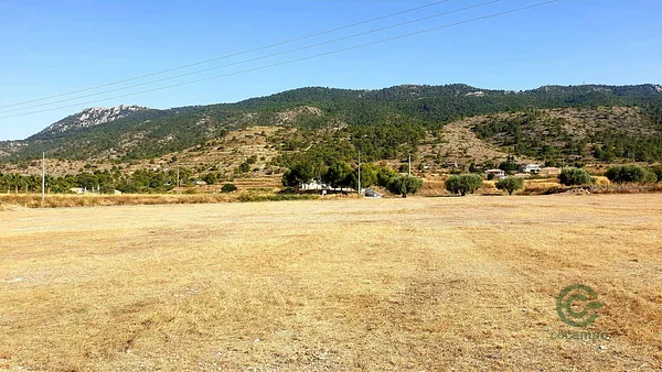 Spot image