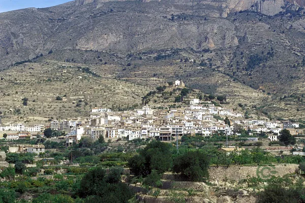 Spot image