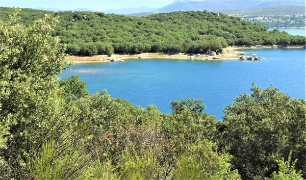Finca rústica de 700 ha en venta en Madrid