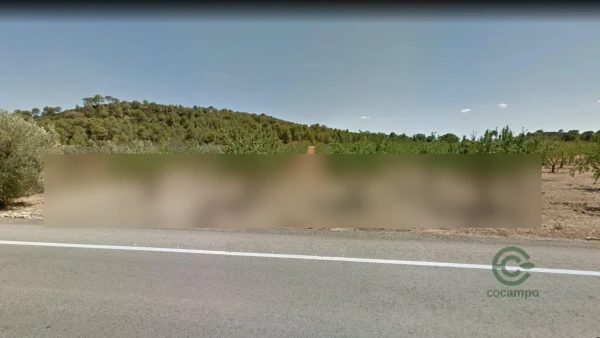 Spot image