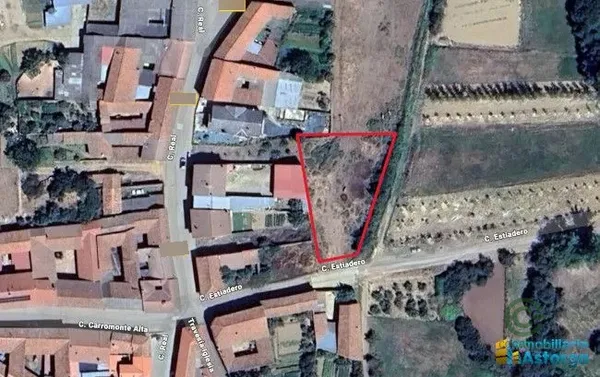 Spot image