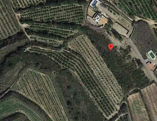Spot image
