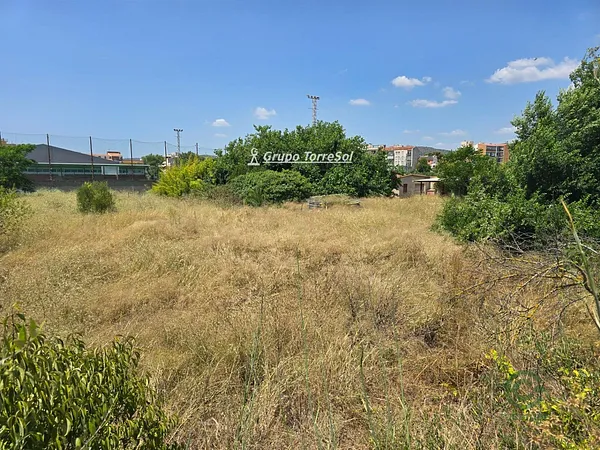 Spot image