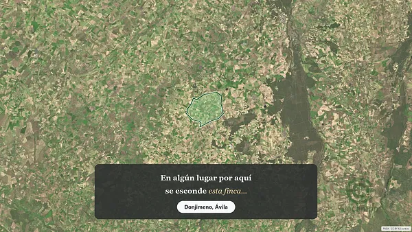 Spot image