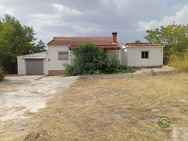 Spot image