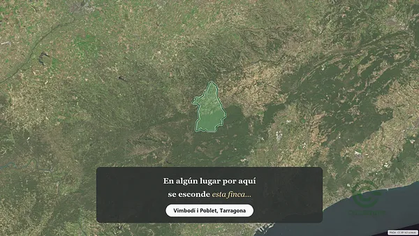 Spot image