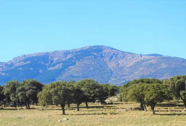 Finca rústica de 200 ha en venta en Madrid