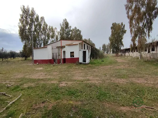 Finca rústica de 15,6407 ha en venta en Alcaudete de la jara, Toledo