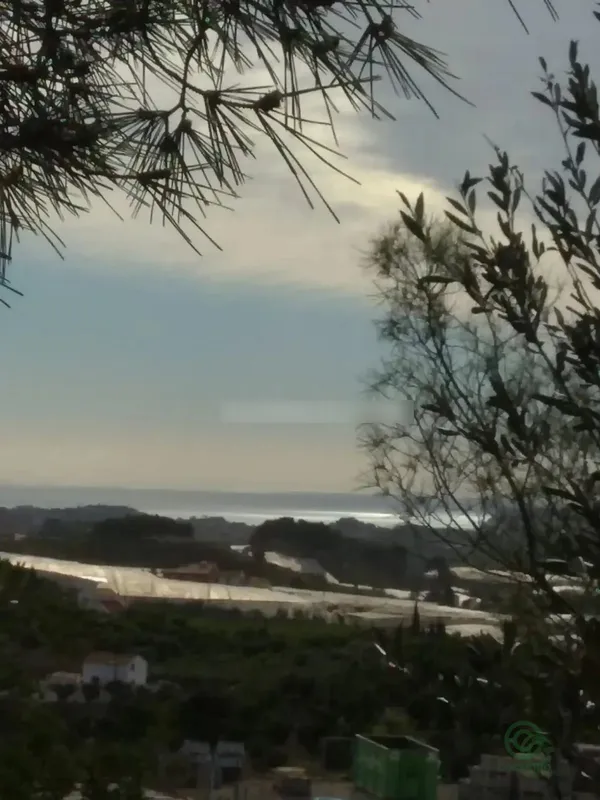 Terreno urbano de 1,09 ha en venta en Callosa d`en sarria, Alicante