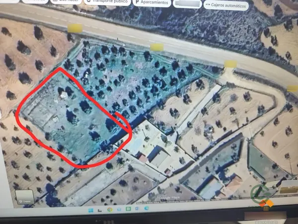 Spot image