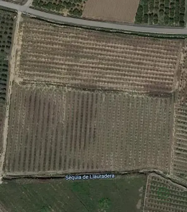 Spot image
