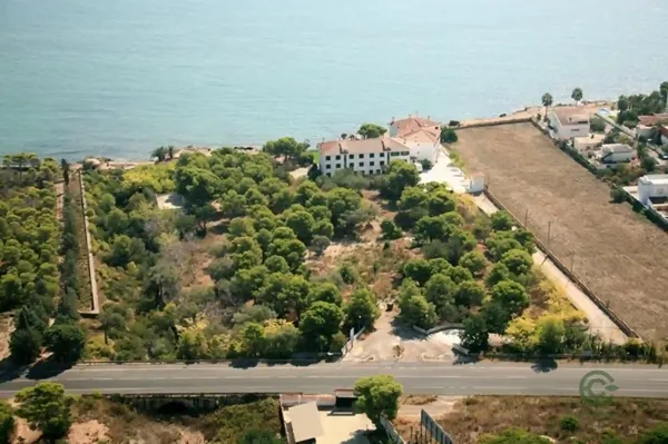 Spot image