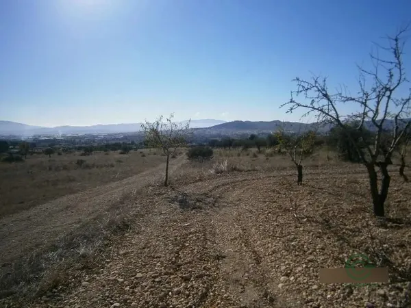 Spot image