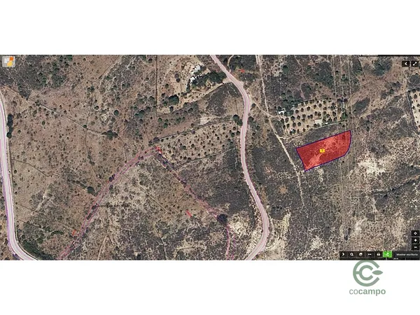 Spot image