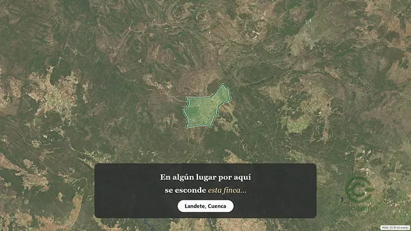 Spot image