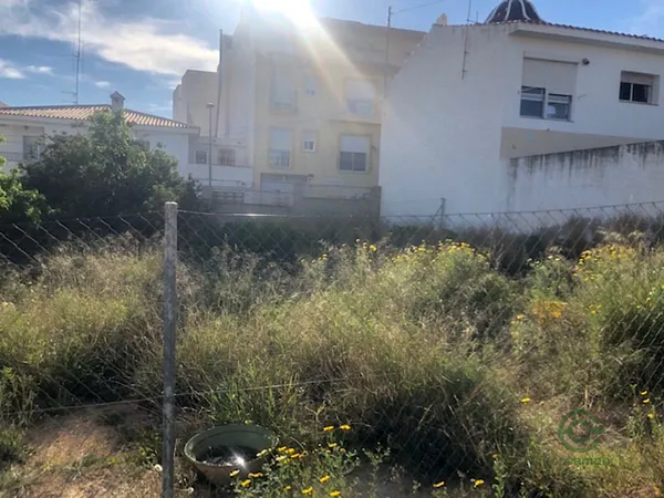 Spot image