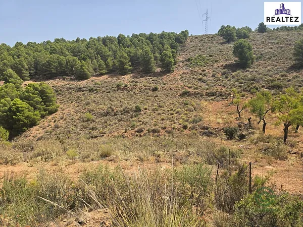 Spot image