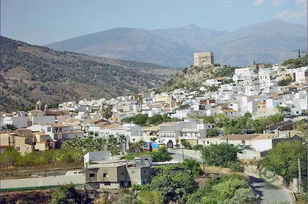 Spot image