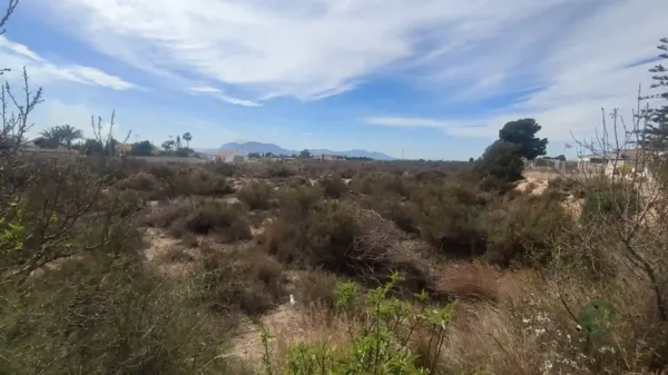 Spot image
