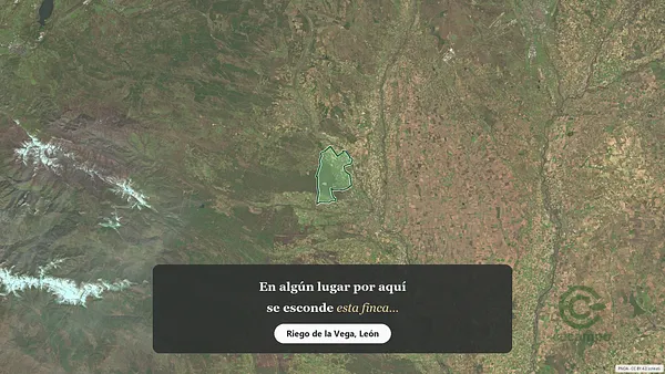 Spot image