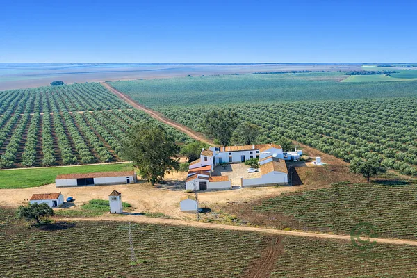 Finca rústica de 206 ha en venta en Badajoz, Badajoz