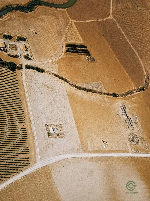 Spot image