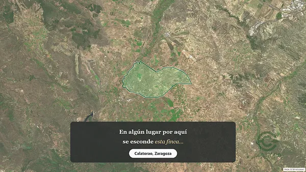 Spot image
