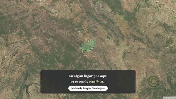 Spot image