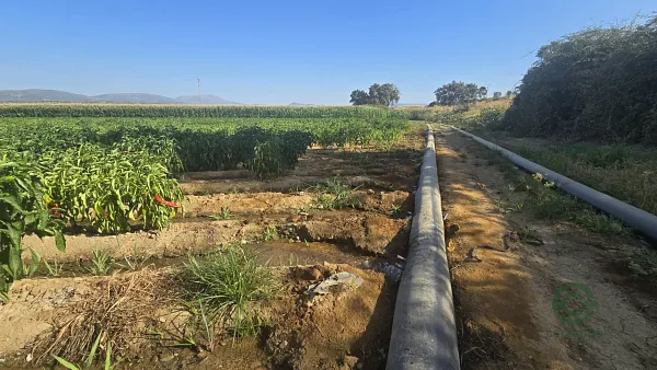 Finca rústica de 21 ha en alquiler en Gata, Cáceres