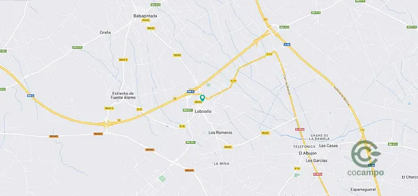 Spot image