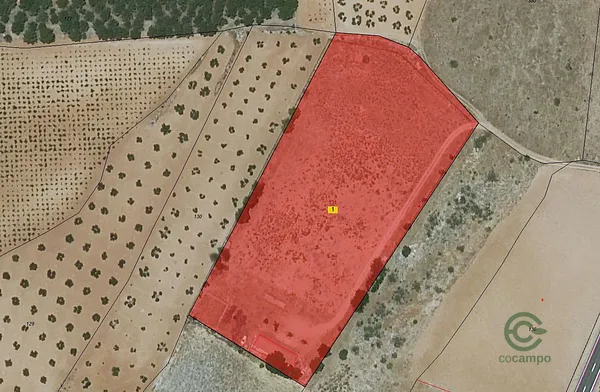 Spot image