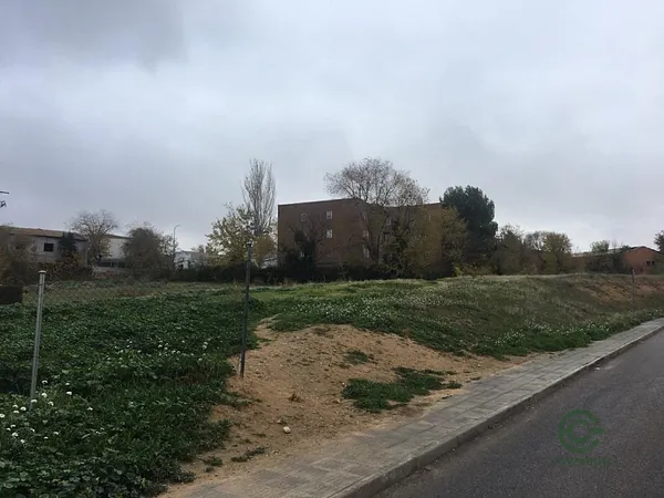 Spot image