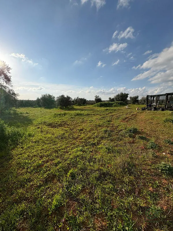Finca rústica de 0,7 ha en venta en Pilas, Sevilla