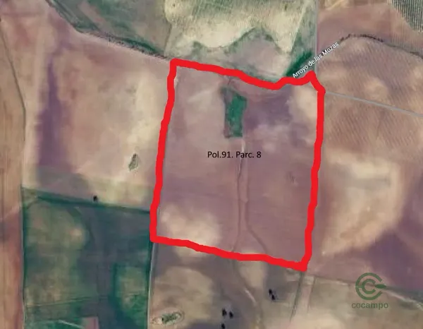 Spot image