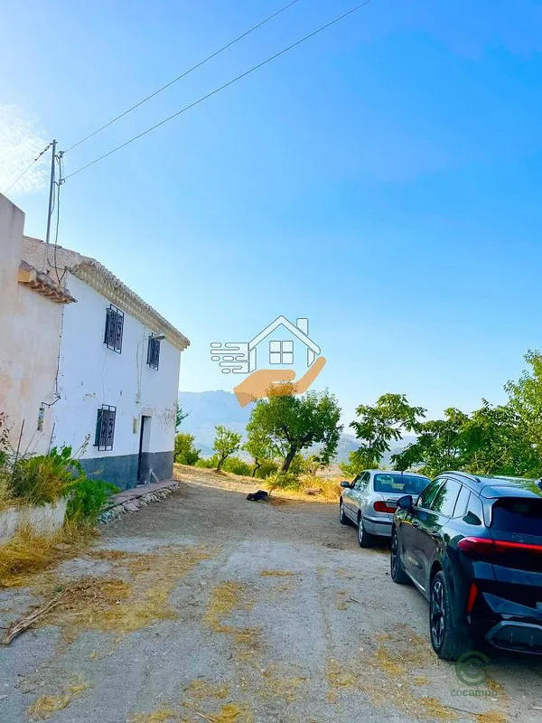 Spot image