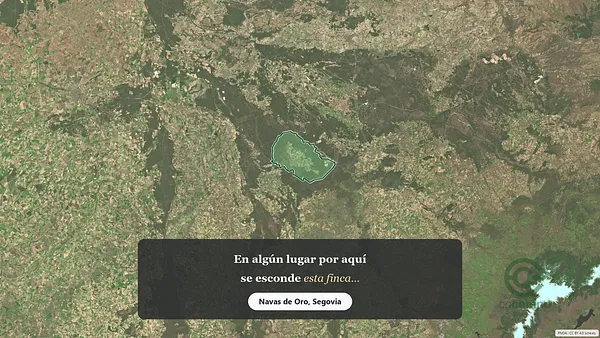 Spot image
