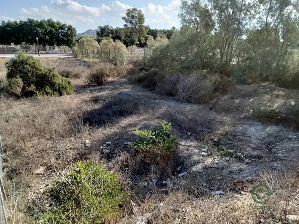 Spot image