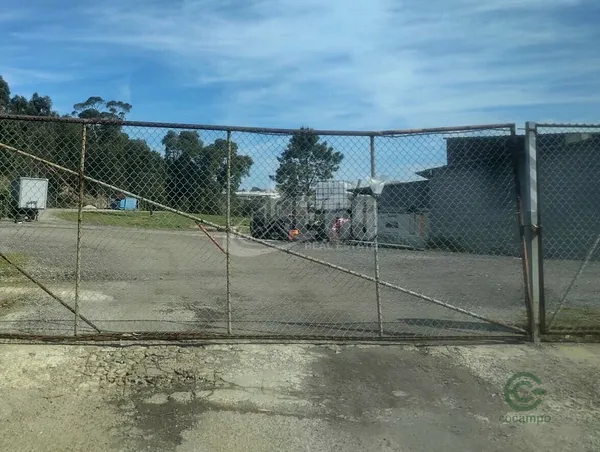 Spot image