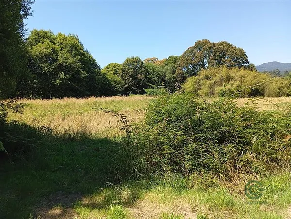 Finca rústica de 0,08 ha en venta en Tuy, Pontevedra