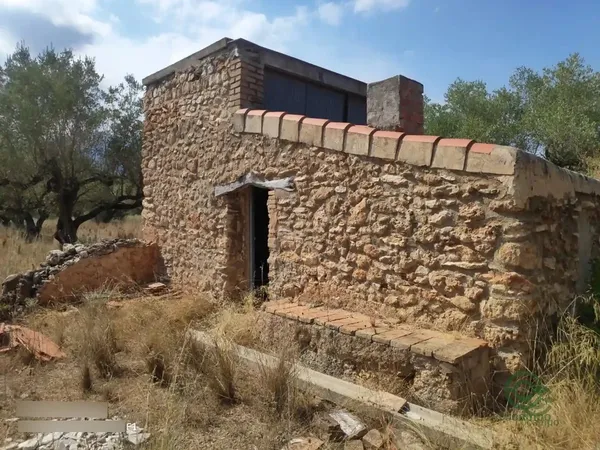 Spot image