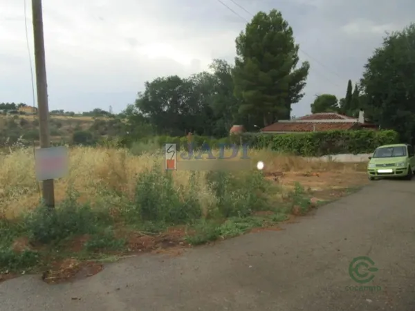 Spot image