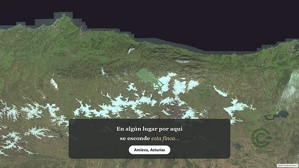 Spot image