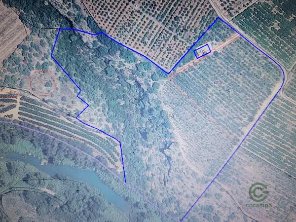 Spot image