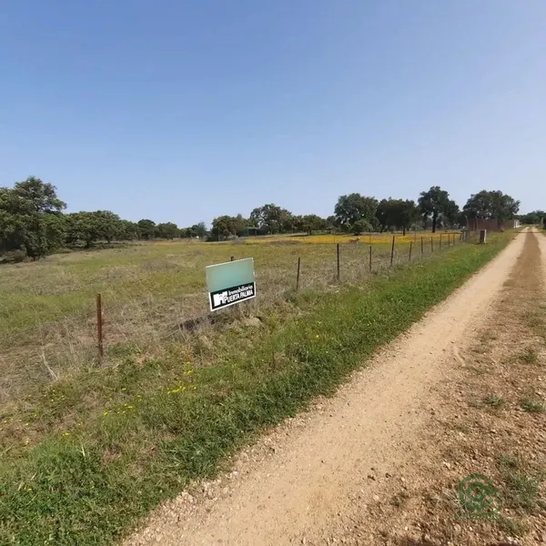 Spot image