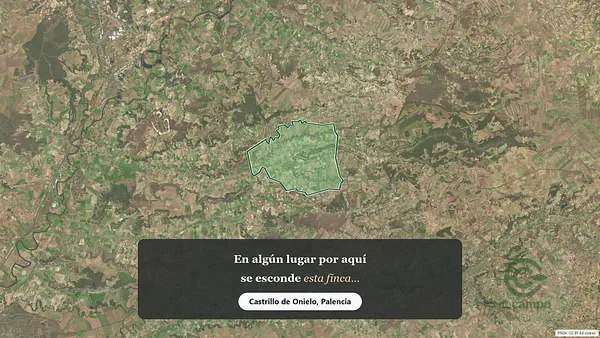 Spot image