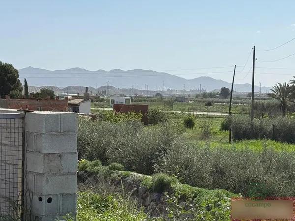 Spot image
